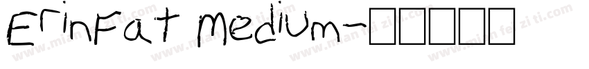 ErinFat Medium字体转换